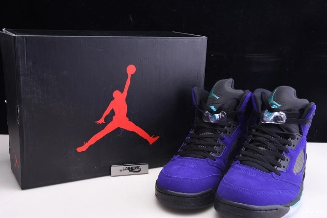 Rep TBK Grape Alternate Retro Jordan 136027-500 5 Air 0807